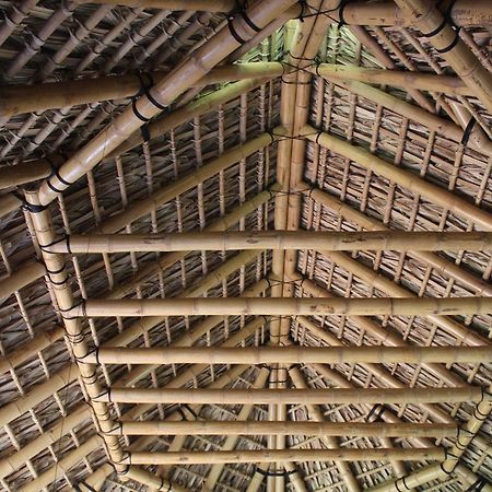 Posada Nuuna Mazunte Ngoại thất bức ảnh